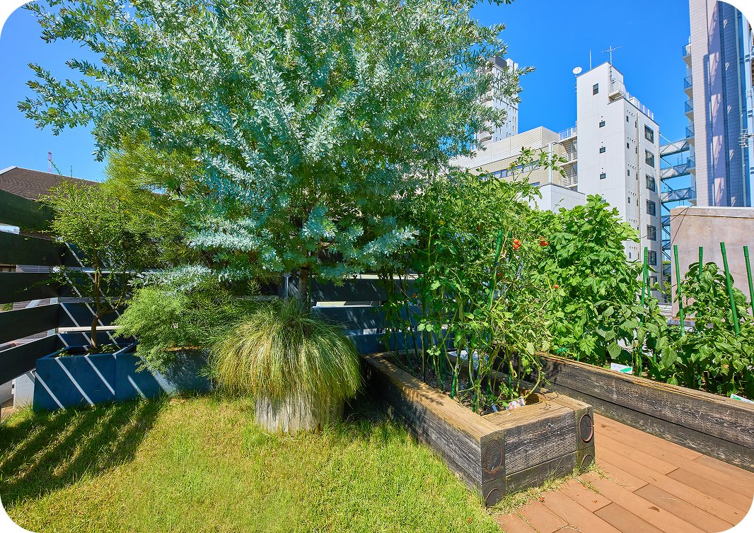 植栽のある屋上ガーデン